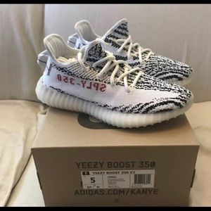 adidas “ zebra “